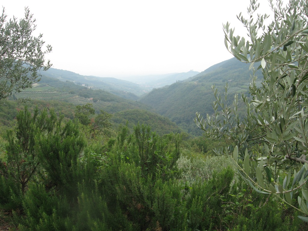 vista della val tramigna